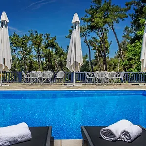 leandros-hotel.hotelschalkidiki.net/